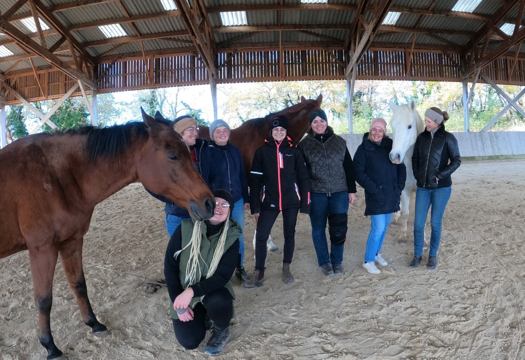 Un collectif pour faire avancer le bien-être&nbsp;équin.